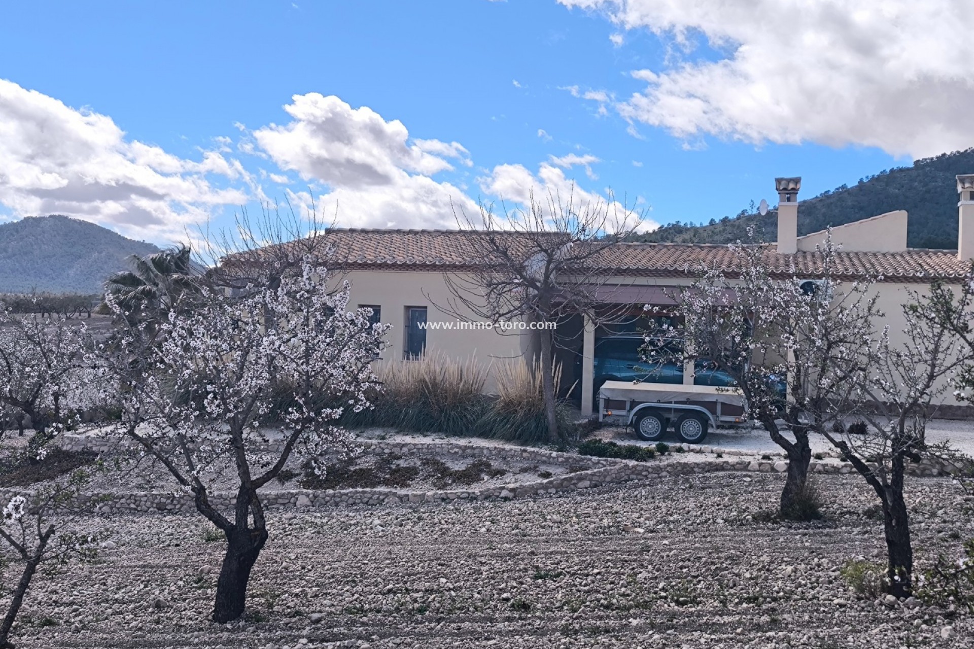 Venta - Villa / Chalet - Sax - Salinas