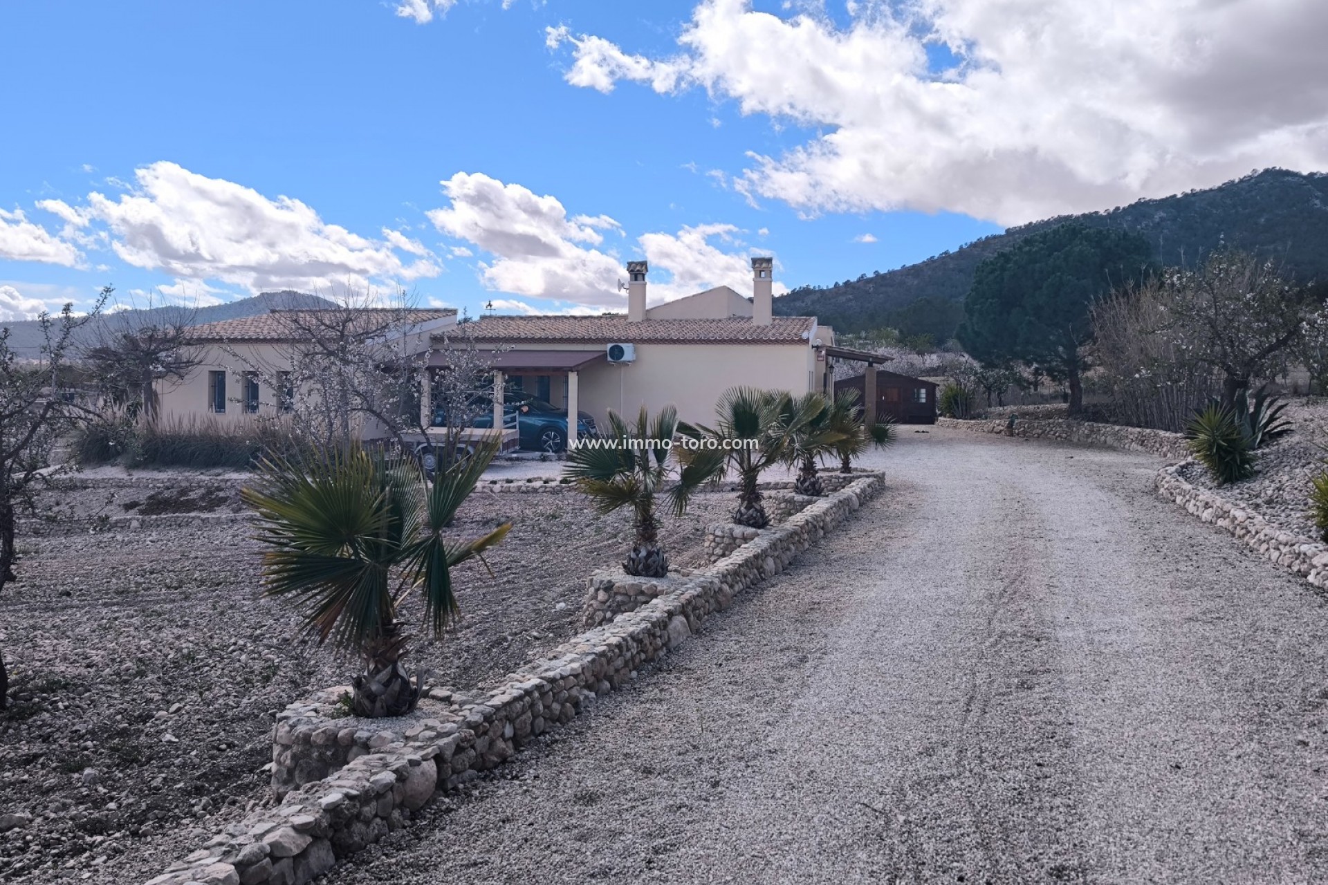 Venta - Villa / Chalet - Sax - Salinas