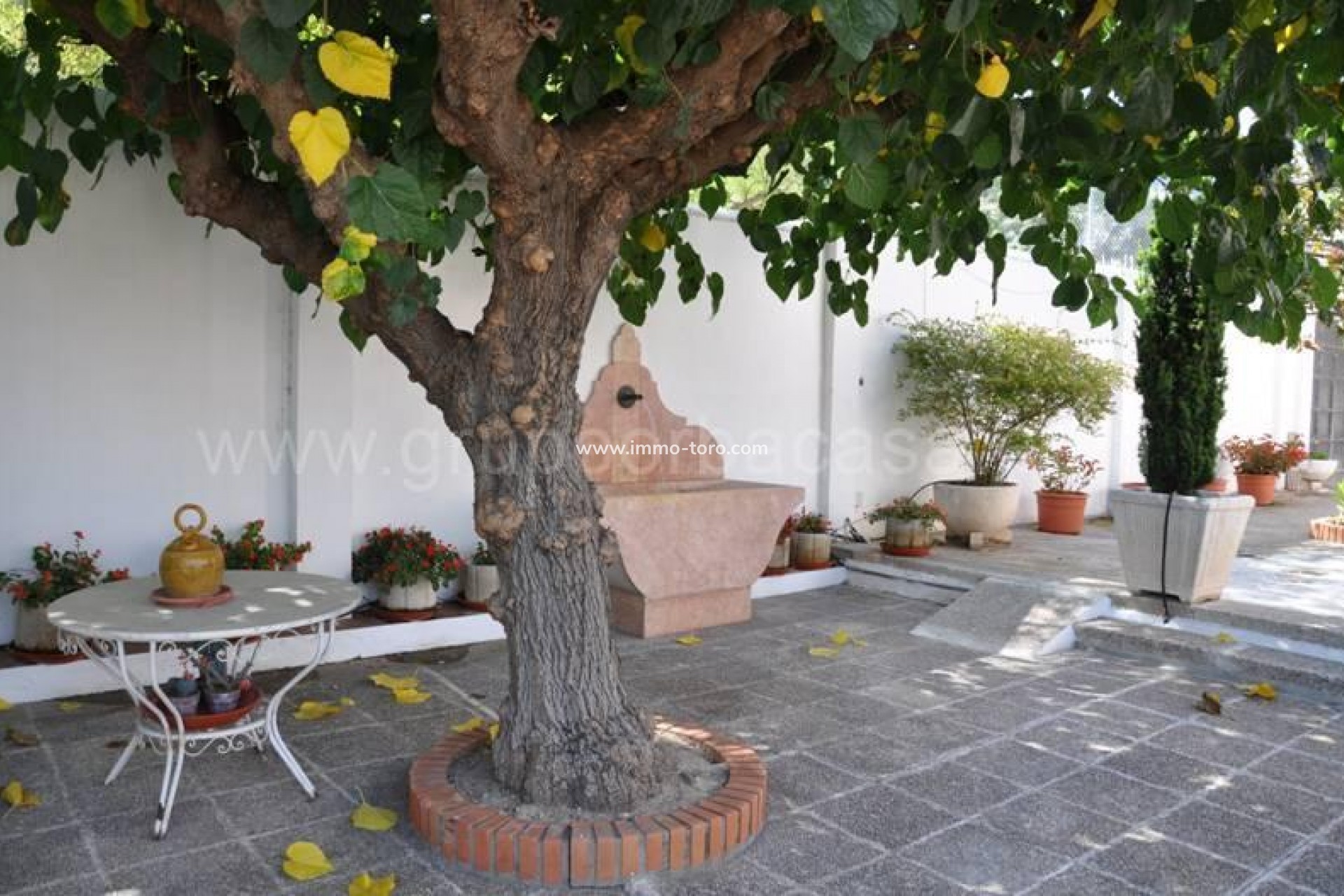 Venta - Villa / Chalet - Xàtiva