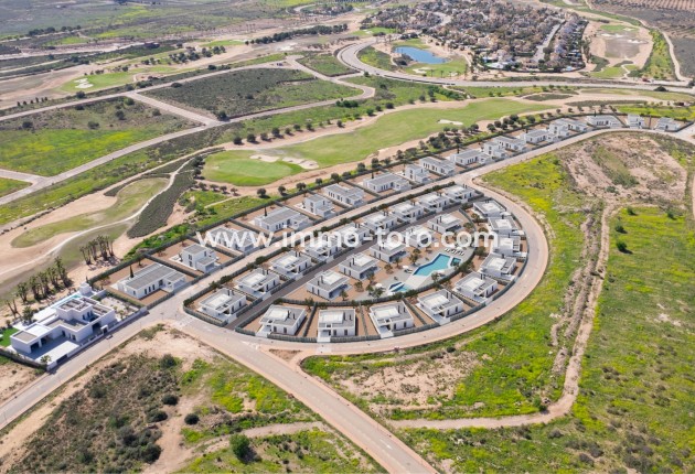 Villa / Chalet - Nueva construcción  - Fuente Álamo - Fuente Alamo