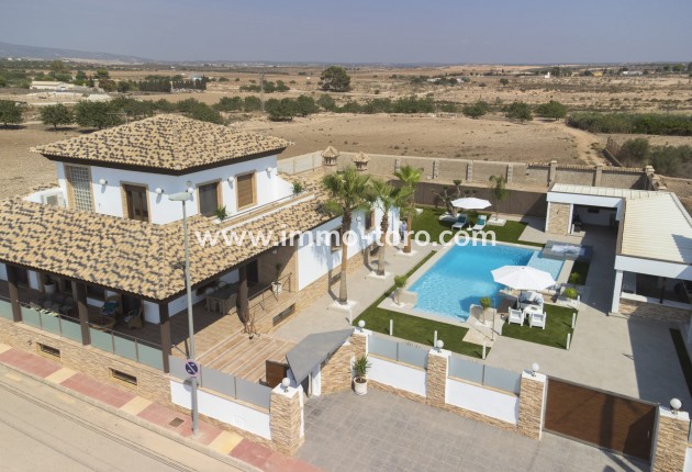 Villa / Chalet - Nueva construcción  - Jerónimo y Avileses - Jerónimo y Avileses