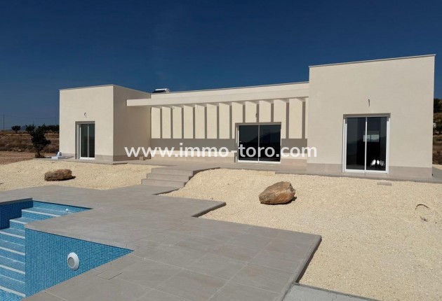 Villa / Chalet - Nueva construcción  - Pinoso - Camino Del Prado