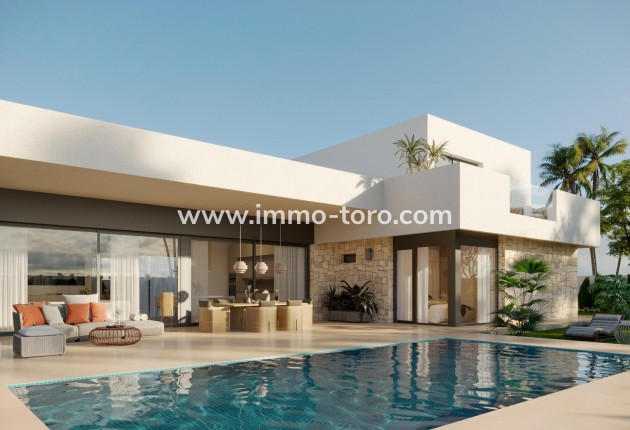 Villa / Chalet - Nueva construcción  - Pinoso - IT-0513