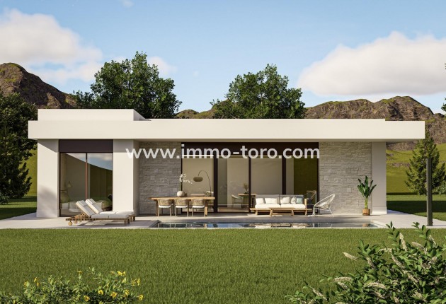 Villa / Chalet - Nueva construcción  - Pinoso - Lel