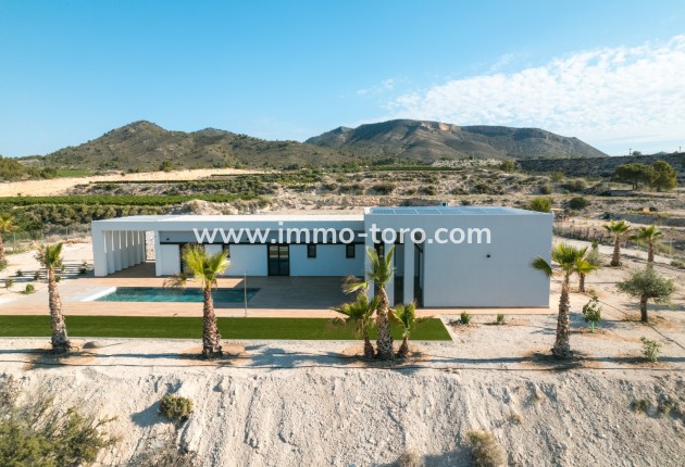 Villa / Chalet - Nueva construcción  - Pinoso - Pinoso