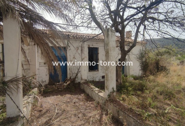 Villa - Herverkoop - Orba - Orba