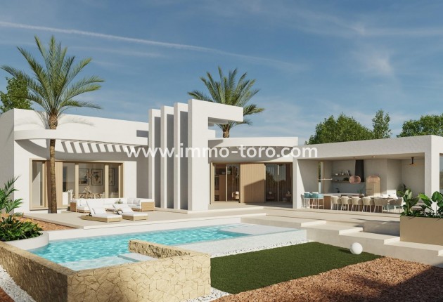 Villa - New Build - Algorfa - Lomas De La Juliana