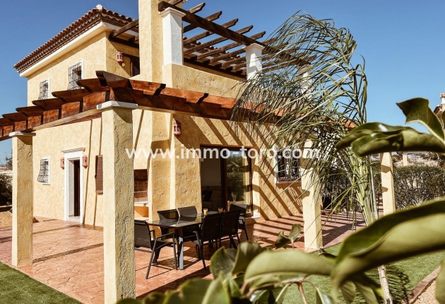Villa - New Build - Cuevas Del Almanzora - REX-82137