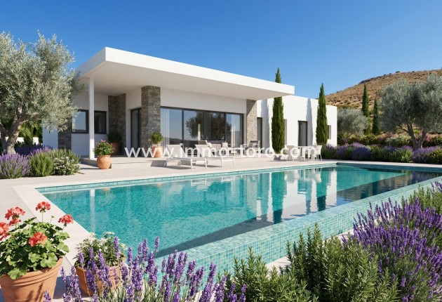 Villa - New Build - Pinoso - Casas Pastor