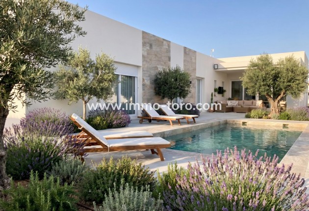 Villa - New Build - Pinoso - Casas Pastor