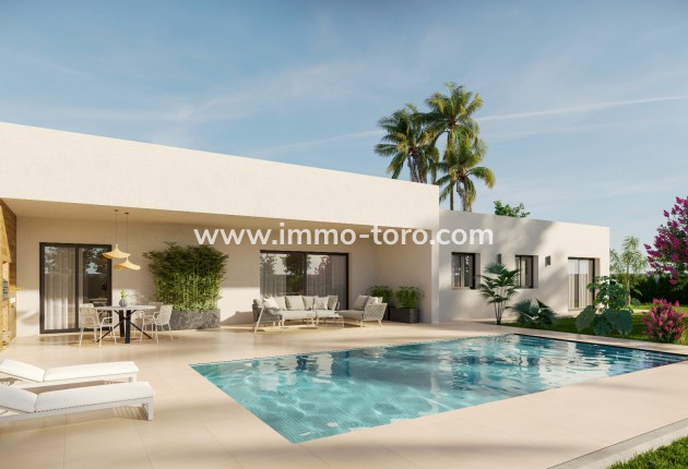 Villa - New Build - Pinoso - Pinoso