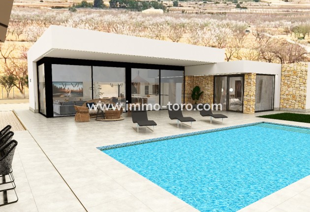 Villa - New Build - Pinoso - Pinoso