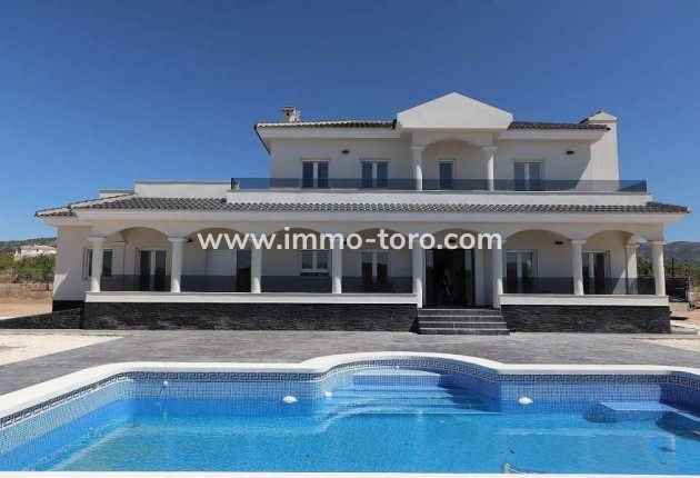 Villa - Nieuwbouw - Pinoso - Pinoso