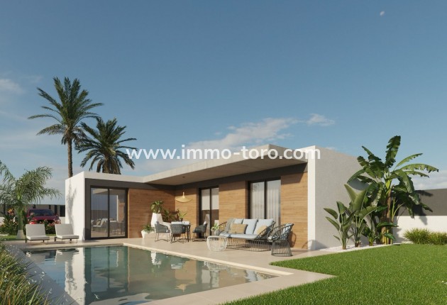 Villa - Nouvelle construction - Molina De Segura - Molina de Segura