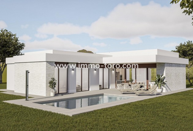 Villa - Nouvelle construction - Pinoso - Lel