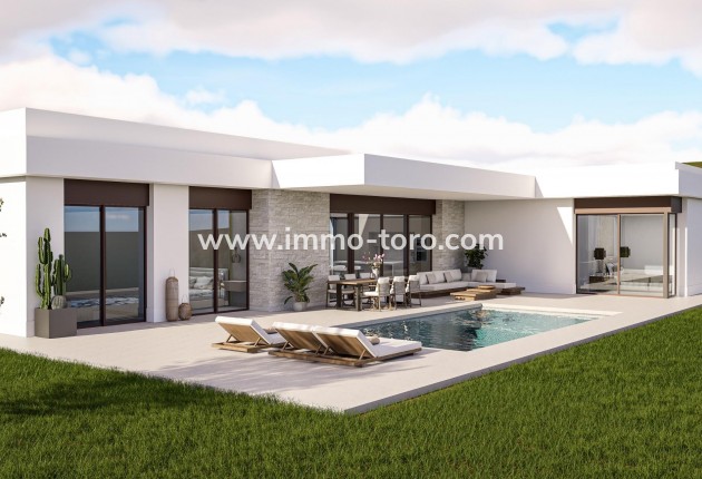 Villa - Nouvelle construction - Pinoso - Lel
