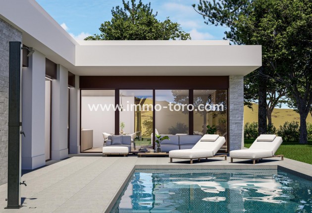 Villa - Nouvelle construction - Pinoso - Lel