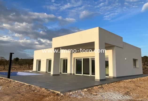 Villa - Nouvelle construction - Pinoso - Pinoso