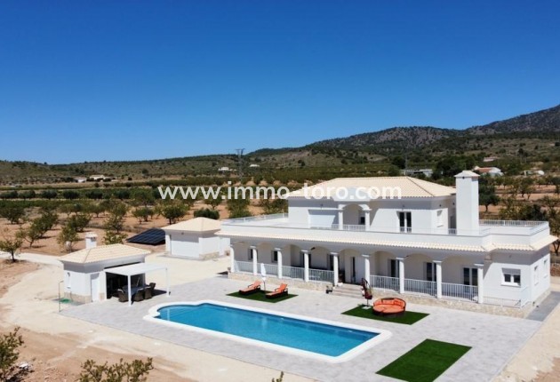 Villa - Nouvelle construction - Pinoso - RS-20610