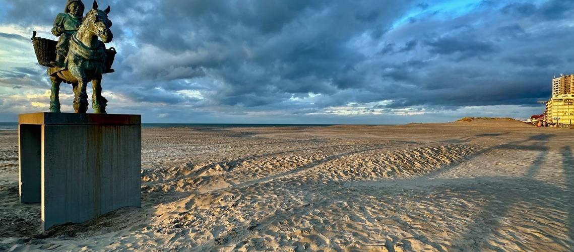 Alles wat u moet weten bij een aankoop in Spanje vertellen wij u!