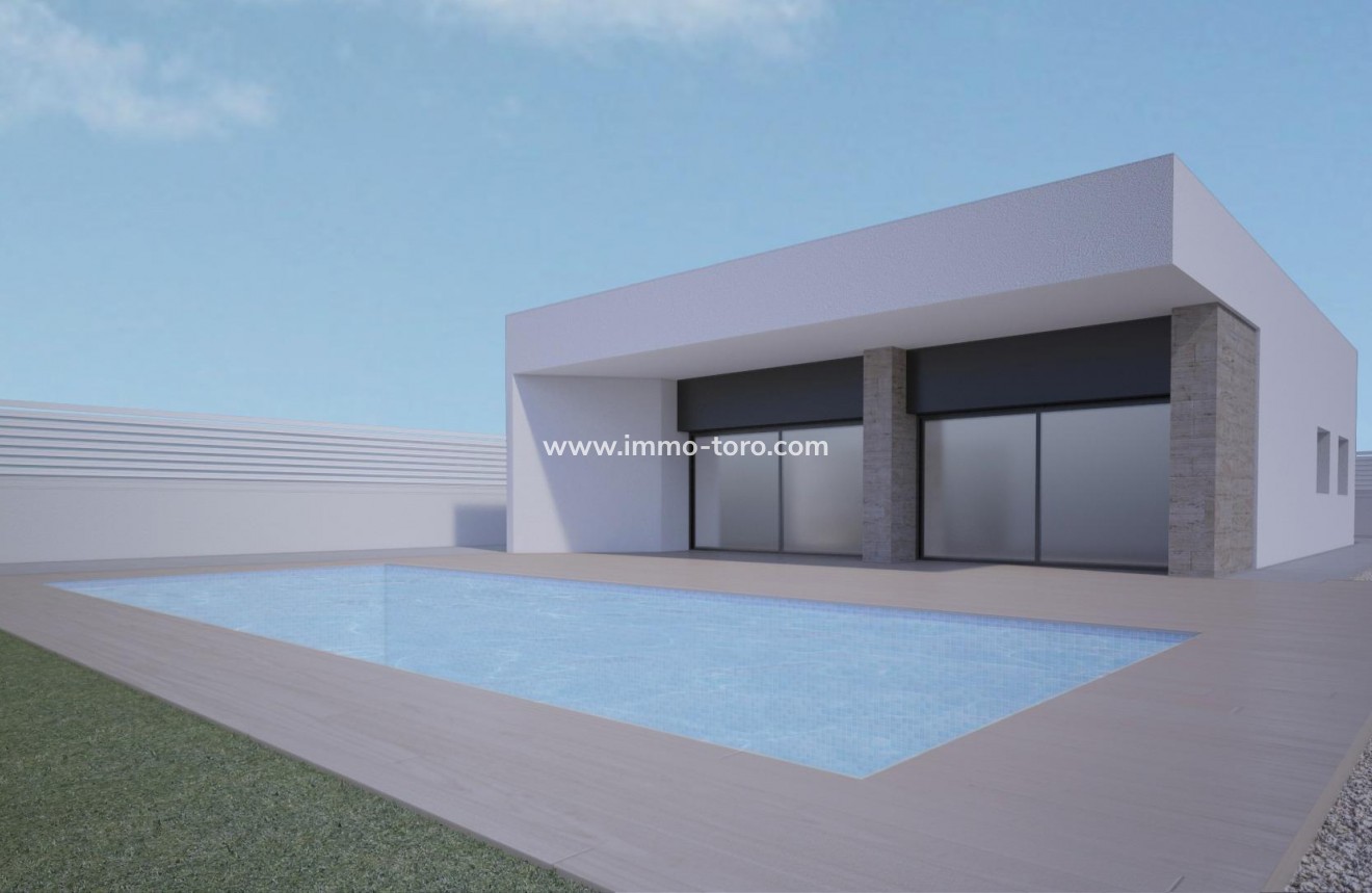 Nueva construcción  - Villa / Chalet - Aspe