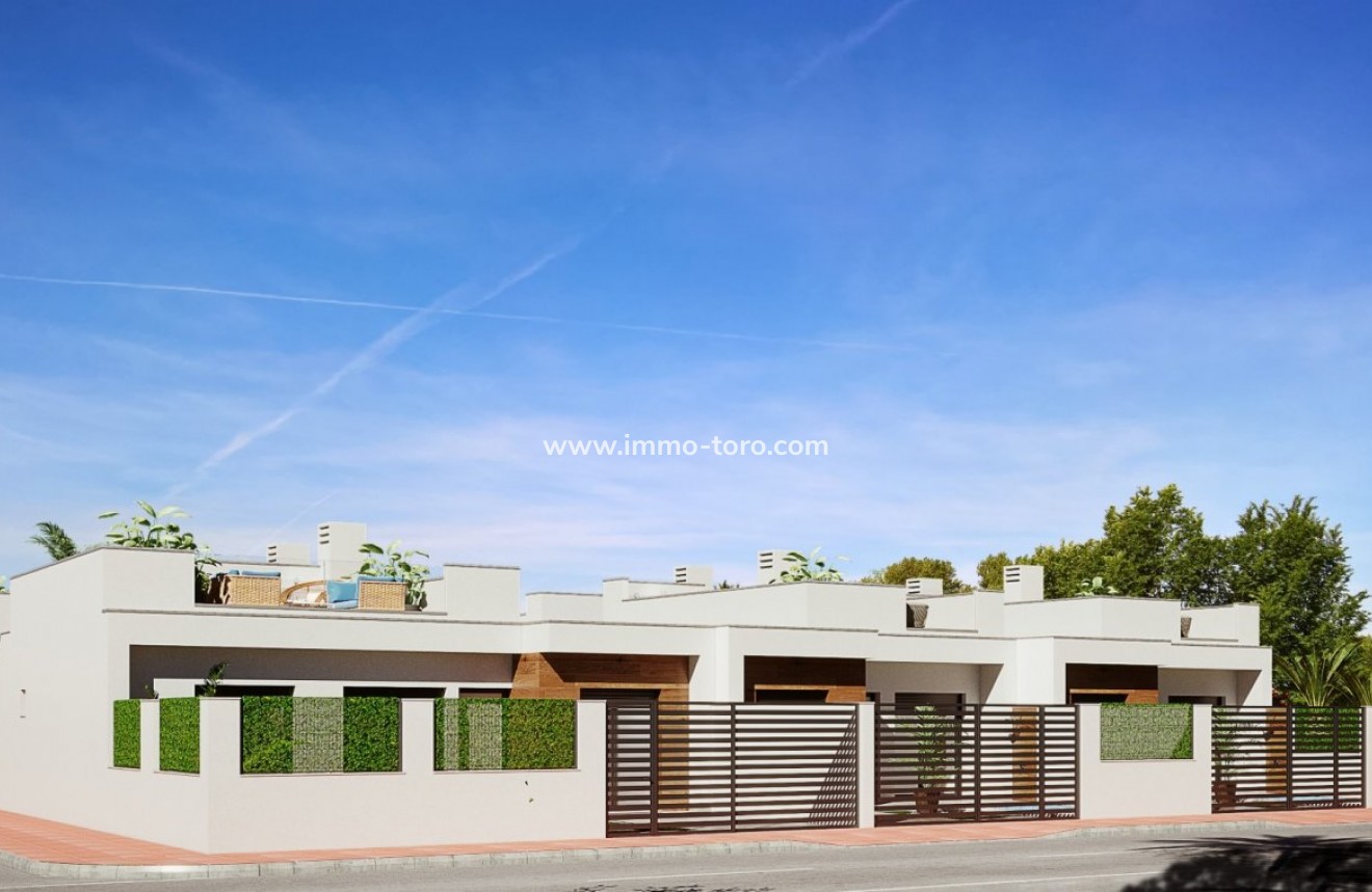 New Build - Detached house / Townhouse - Torre Pacheco - Dolores De Pacheco