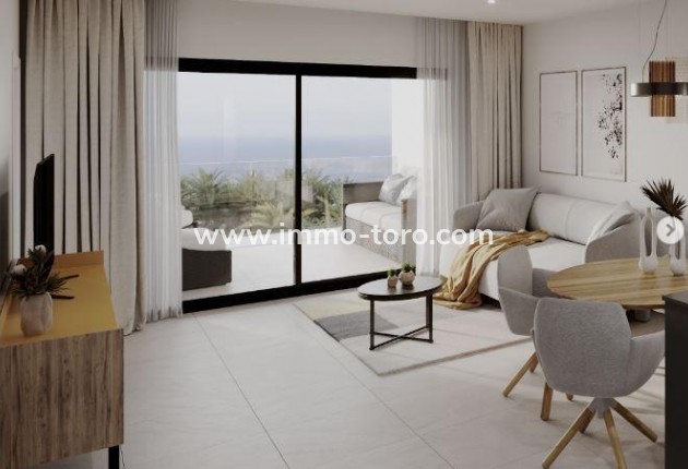 Nouvelle construction - Penthouse - Torrevieja - Torreblanca
