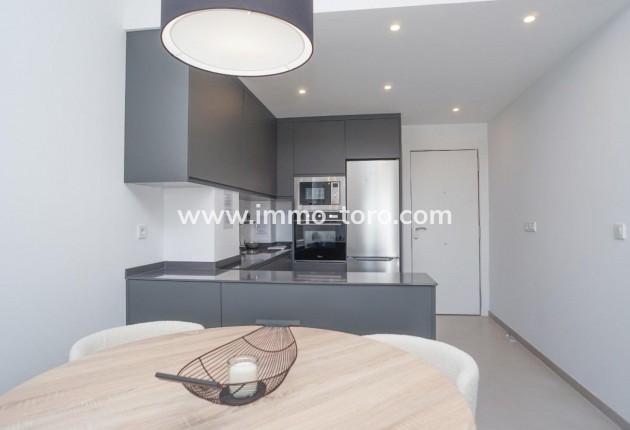 Nouvelle construction - Penthouse - Torrevieja - Torreblanca