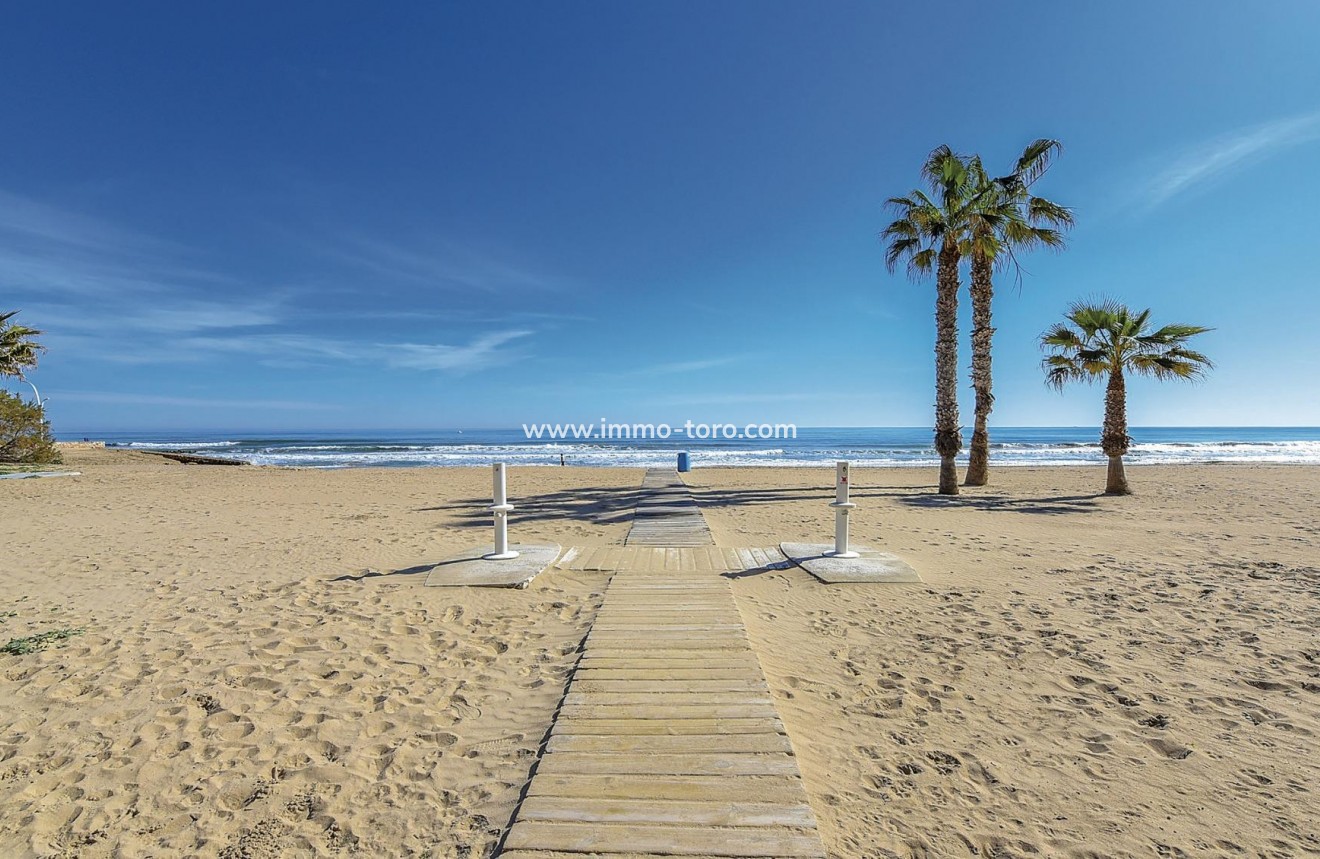 Nouvelle construction - Penthouse - Torrevieja - Torreblanca