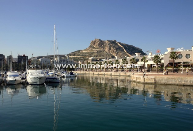 Nouvelle construction - Penthouse - Torrevieja - Torreblanca