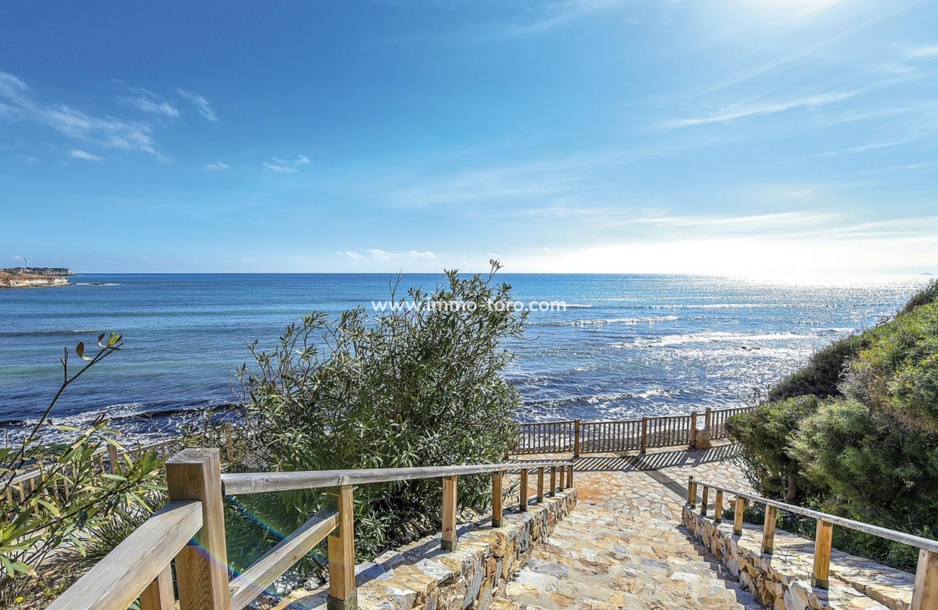 Nouvelle construction - Penthouse - Torrevieja - Torreblanca