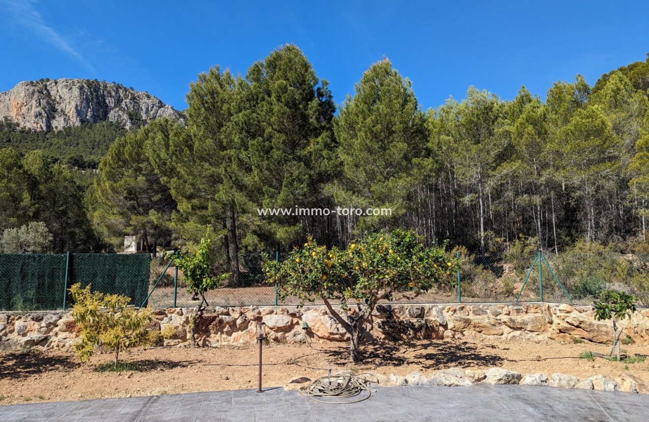 Resale - Villa - Benissa