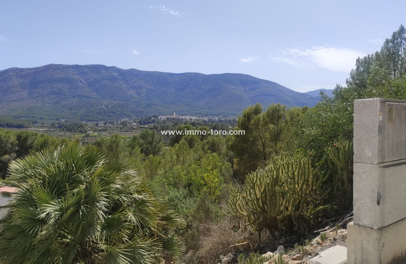 Resale - Plot - Alcalali - Alcalalí