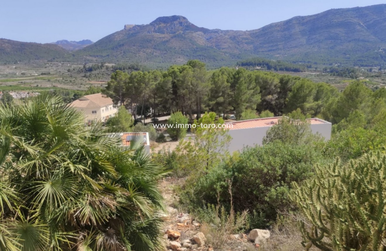 Resale - Plot - Alcalali - Alcalalí