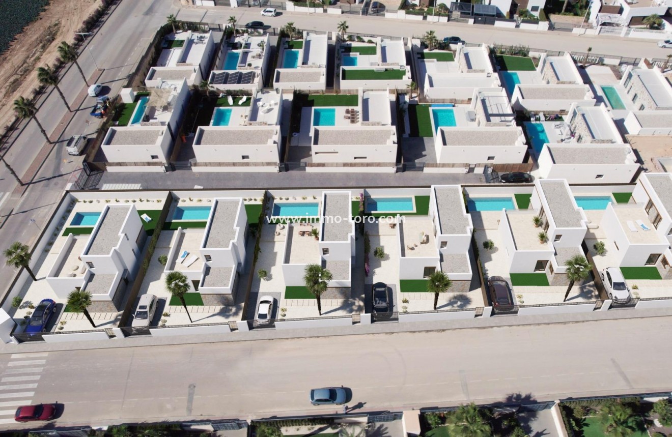 New Build - Villa - Algorfa - La finca golf