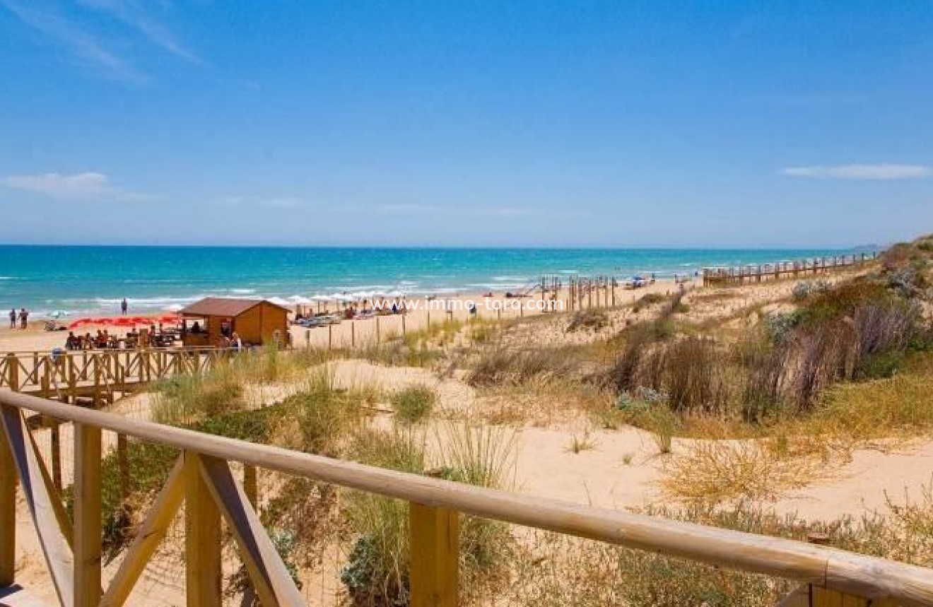 Nueva construcción  - Villa / Chalet - Benijófar - Pueblo