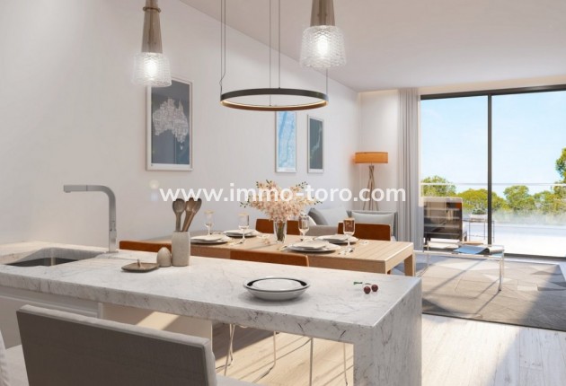 New Build -  - Orihuela - Playa Flamenca