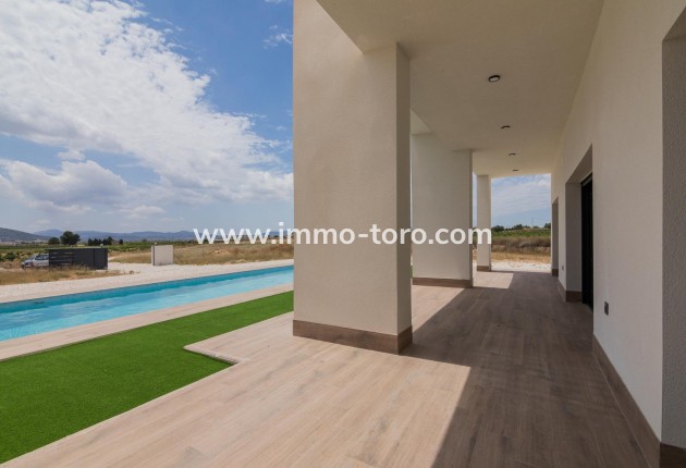 New Build - Villa - Pinoso - Campo