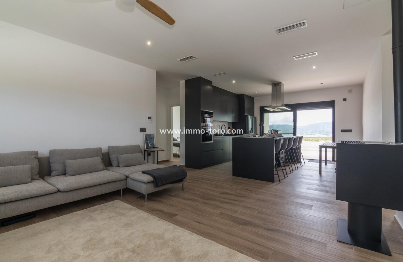 New Build - Villa - Pinoso - Campo