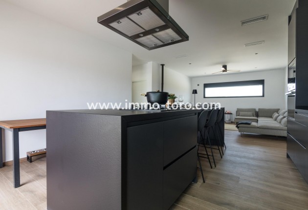 New Build - Villa - Pinoso - Campo