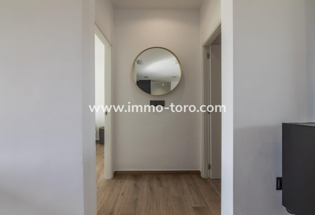 New Build - Villa - Pinoso - Campo