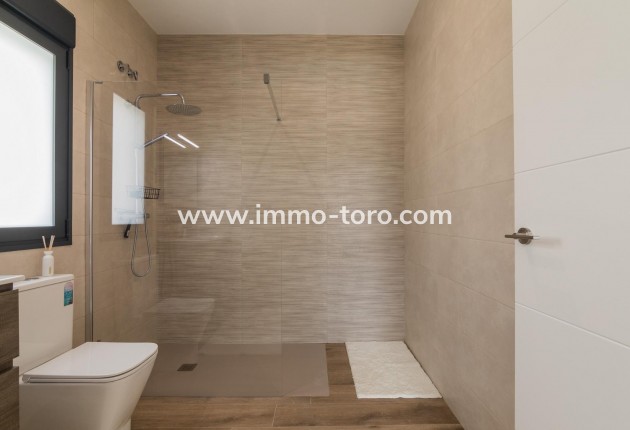 New Build - Villa - Pinoso - Campo