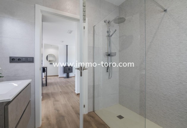 New Build - Villa - Pinoso - Campo