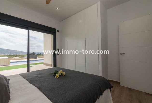 New Build - Villa - Pinoso - Campo