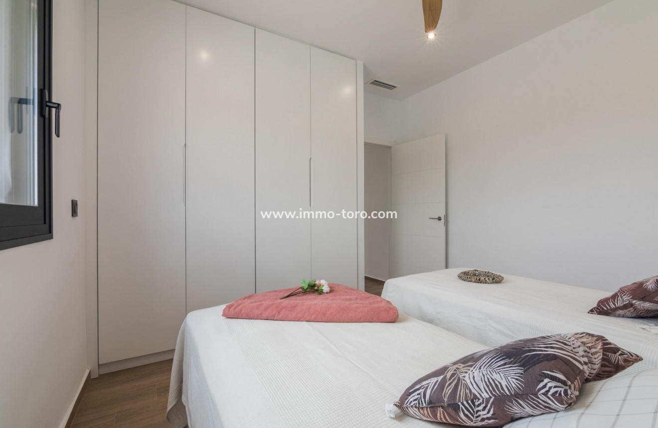 New Build - Villa - Pinoso - Campo