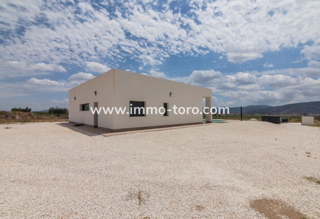 New Build - Villa - Pinoso - Campo