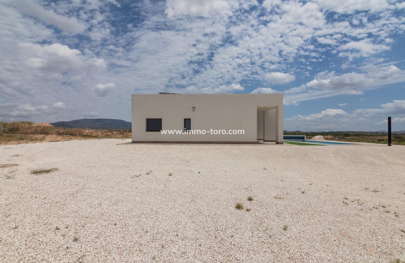 New Build - Villa - Pinoso - Campo