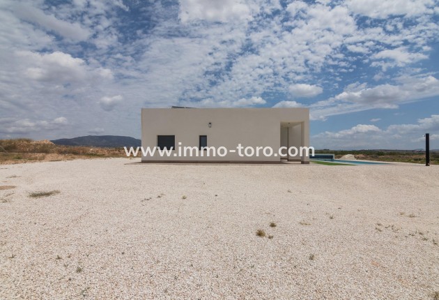 New Build - Villa - Pinoso - Campo