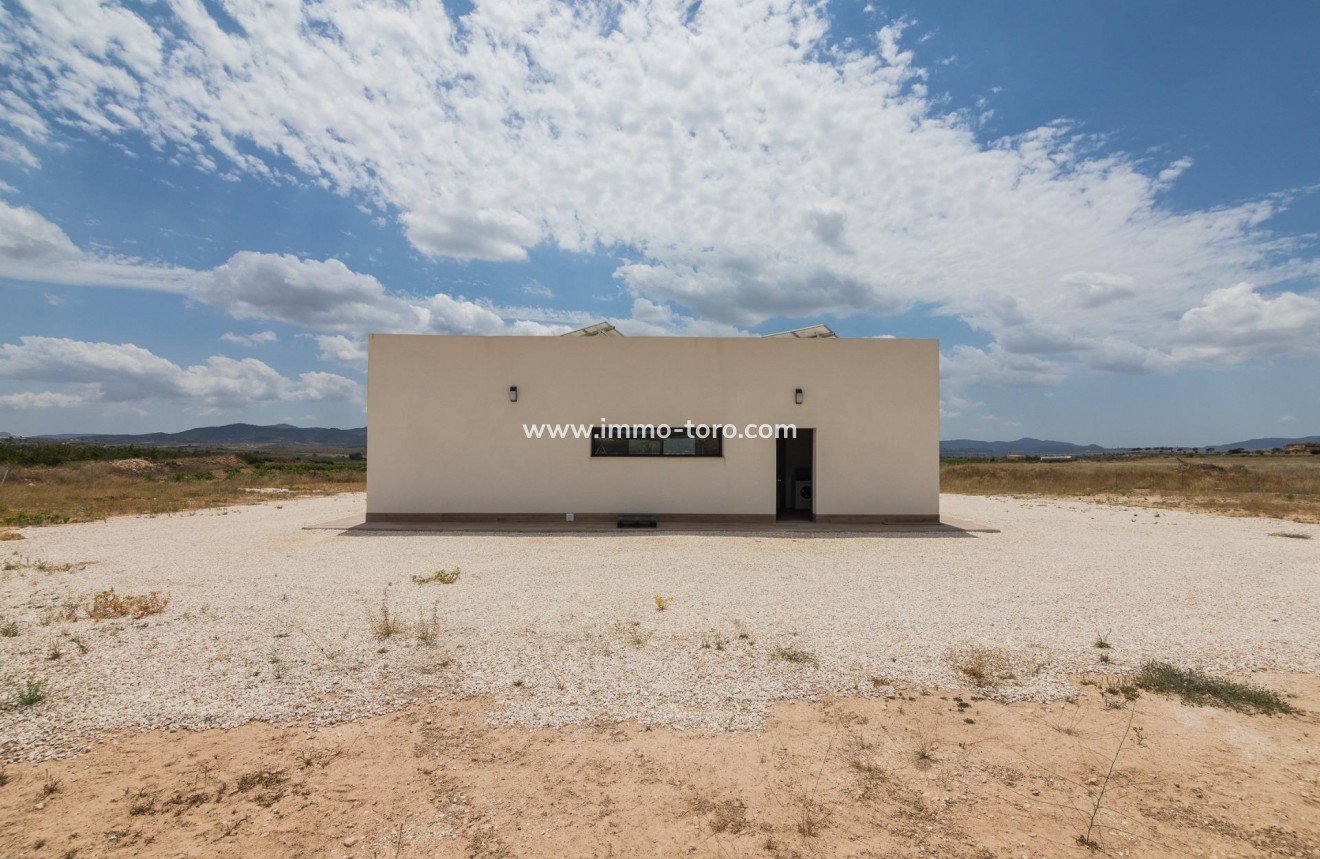 New Build - Villa - Pinoso - Campo