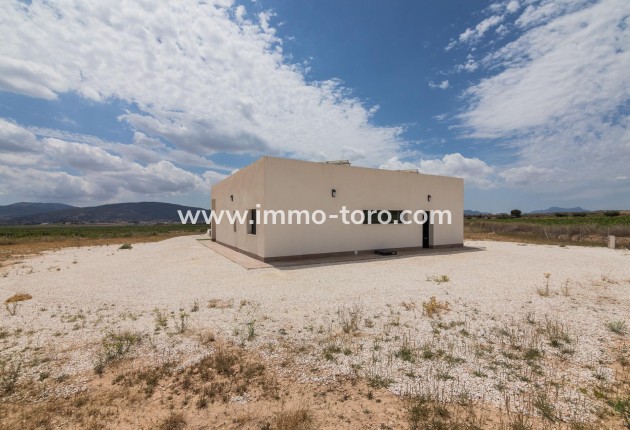 New Build - Villa - Pinoso - Campo